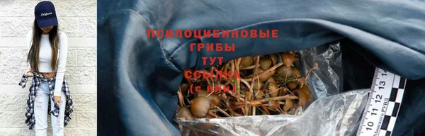 ГАЛЛЮЦИНОГЕННЫЕ ГРИБЫ Баксан