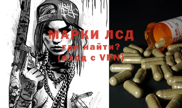 прущие грибы Балабаново