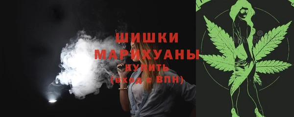 прущие грибы Балабаново
