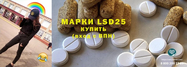 ГАЛЛЮЦИНОГЕННЫЕ ГРИБЫ Баксан