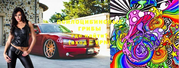 прущие грибы Балабаново