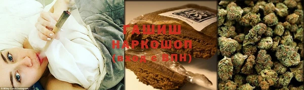 прущие грибы Балабаново
