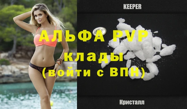 прущие грибы Балабаново