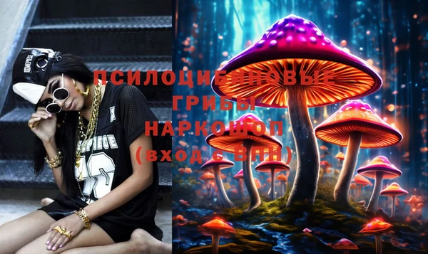 ГАЛЛЮЦИНОГЕННЫЕ ГРИБЫ Баксан
