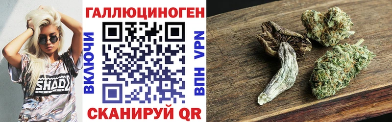 даркнет сайт  Североуральск  мориарти состав  Псилоцибиновые грибы ЛСД 