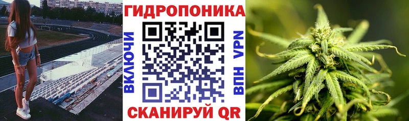 Канабис Amnesia Североуральск